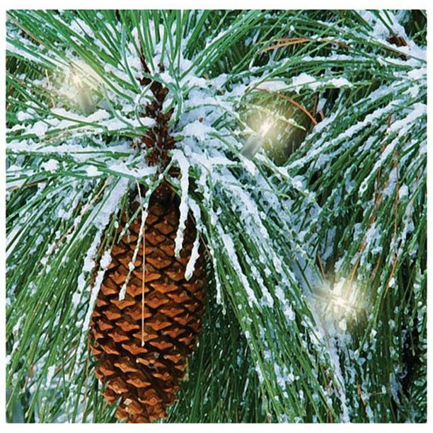 Lighted Pine Cone in the Snow Lighted Canvas Radiance Free Ship USA 